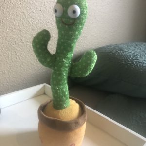 Dancing Cactus